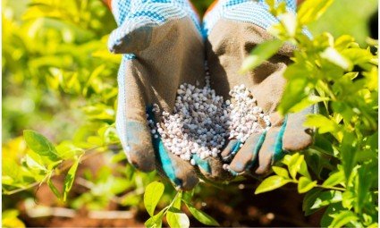 Como funciona o processo de registro de fertilizantes no MAPA: dicas para facilitar o registro