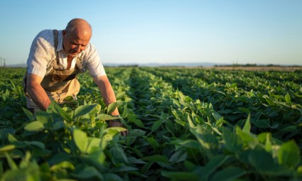 Como os condicionadores de solo podem transformar a qualidade das suas lavouras e como registrar o produto